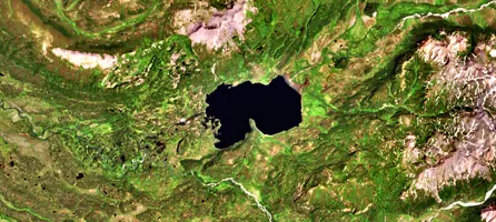 Паланское