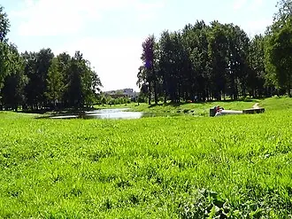 Парк Есенина