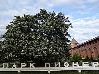 Парк Пионеров