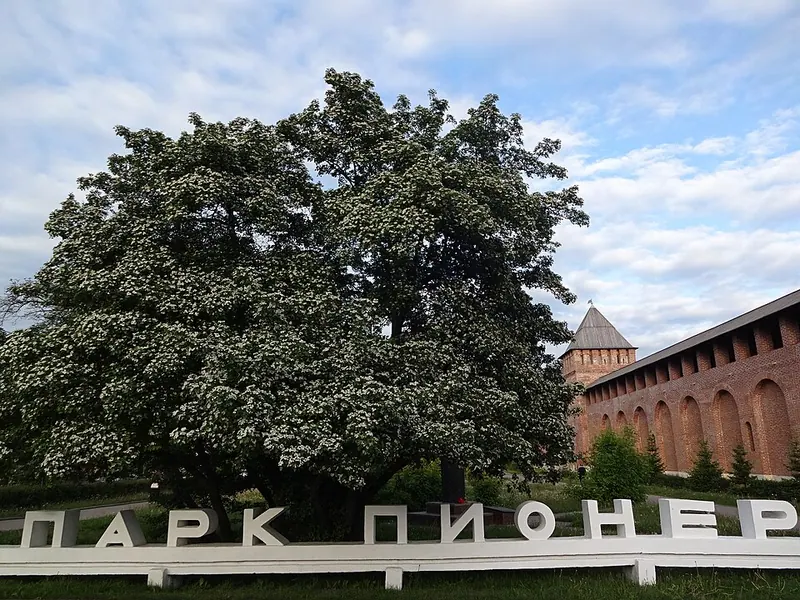 Парк Пионеров