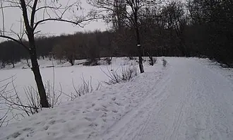Путиловский лес