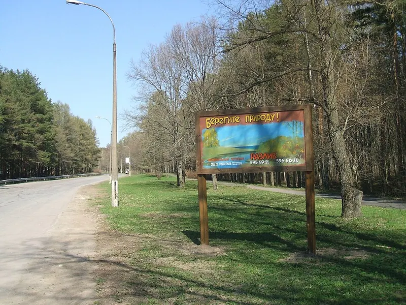 Левашовский лес
