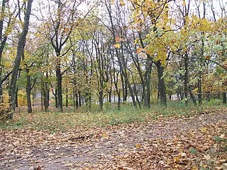 Сестрорецкий Сад у дома командира завода