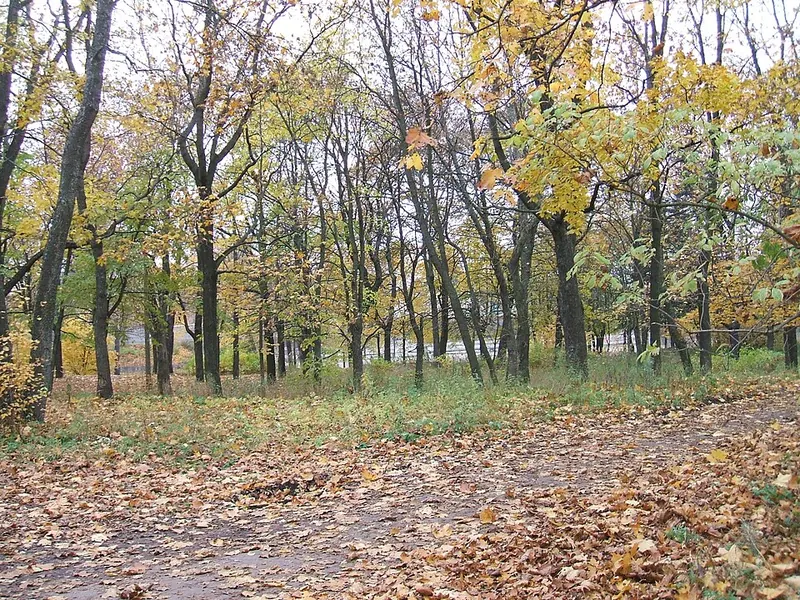 Сестрорецкий Сад у дома командира завода