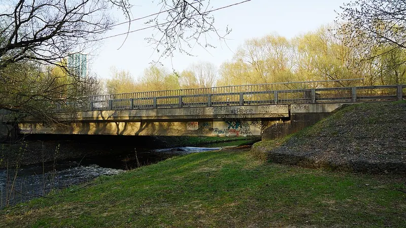 Широковский мост