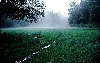 Зеленоградский лесопарк
