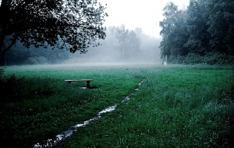 Зеленоградский лесопарк