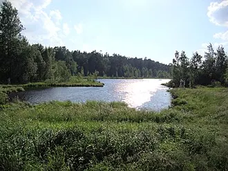 Озёрный лесопарк