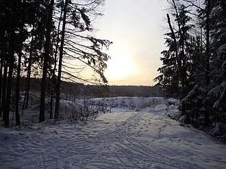 Озёрный лесопарк — фото 2