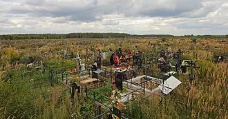 Домодедовское кладбище — фото 3