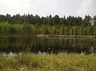 Звенигородская биостанция МГУ и карьер Сима
