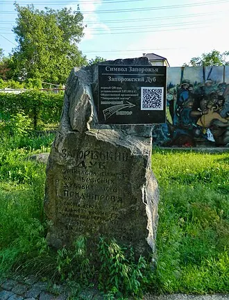 Запорожский дуб — фото 2