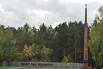 Широкореченское кладбище