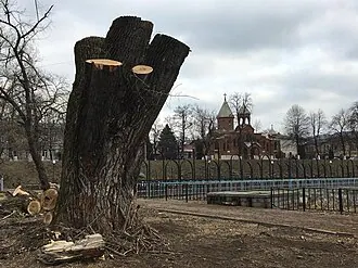 Парк имени Коста Хетагурова — фото 3