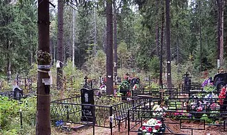 Ново-Деревенское кладбище (Пушкино) — фото 3