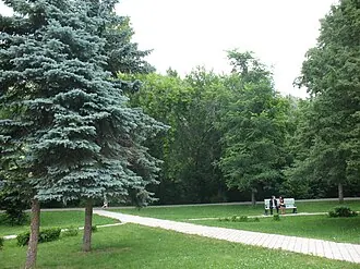Университетская роща