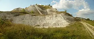 Дмитриевское городище — фото 3