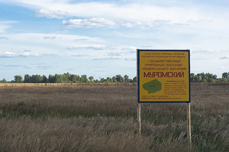 Муромский заказник (Владимирская область)