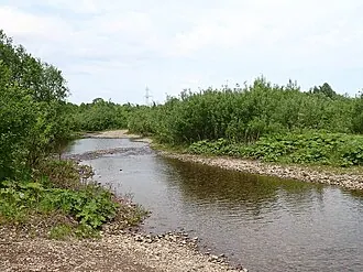 Силинский лес