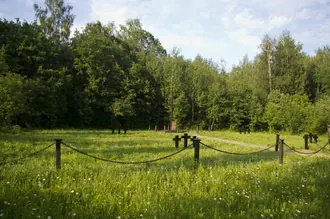 Кладбище немецких военнопленных (Кожино)