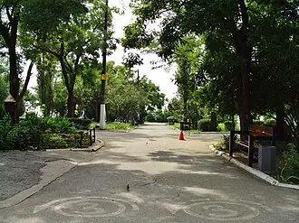 Приморский парк (Таганрог)