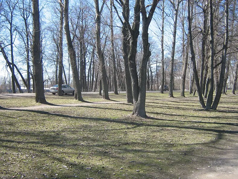 Петровский парк (Санкт-Петербург)