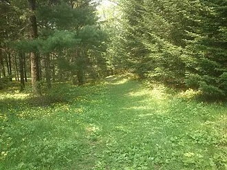 Горнотаёжная станция имени В. Л. Комарова