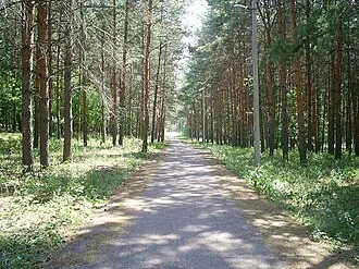 Затайрукский лесопарк имени В. Н. Полякова