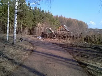 Затайрукский лесопарк имени В. Н. Полякова — фото 2