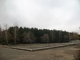 Дельфин (парк) — фото 4