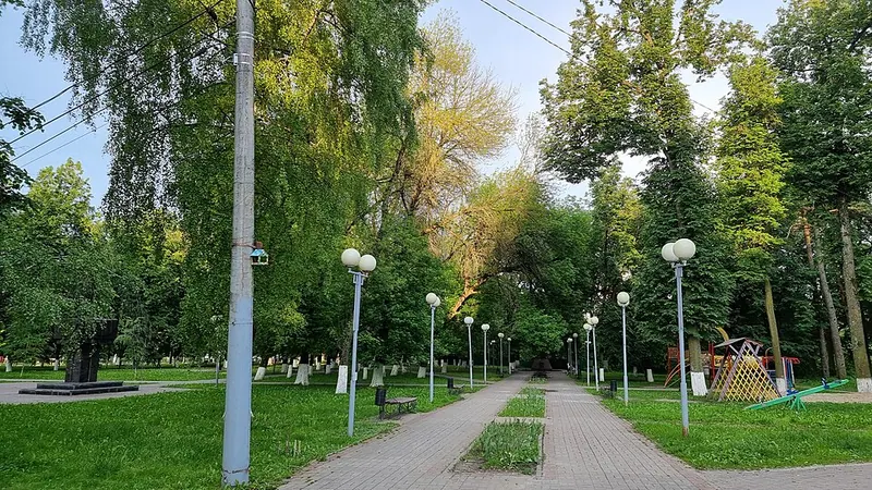 Лесные Сараи