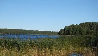 Кургальский заказник