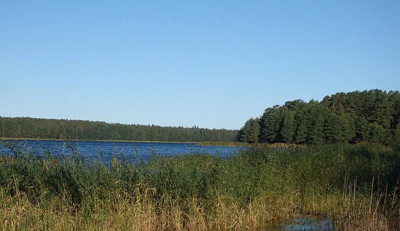 Кургальский заказник
