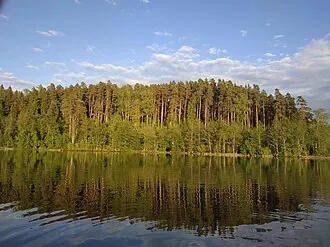 Котельский заказник
