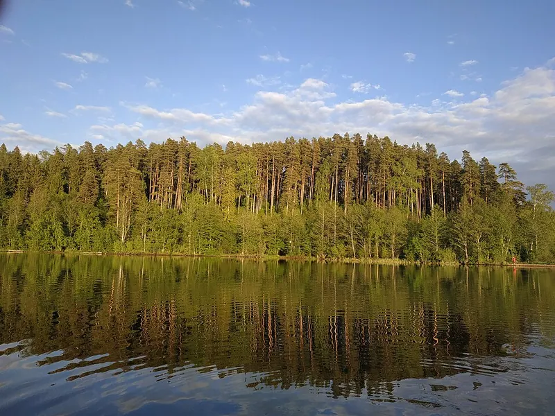 Котельский заказник