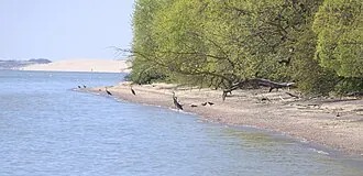 Куршская коса (национальный парк, Россия)