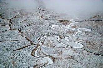 Большой Ляховский