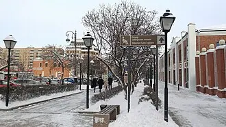 Сквер сибирских кошек — фото 3