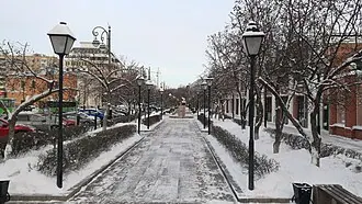 Сквер сибирских кошек — фото 4
