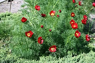 Нижнехопёрский природный парк — фото 2