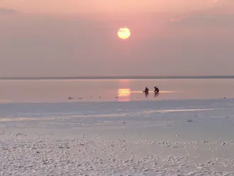 Эльтонский (природный парк)