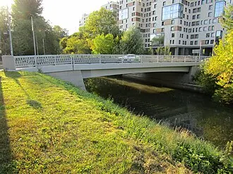 Карельский мост (Санкт-Петербург)