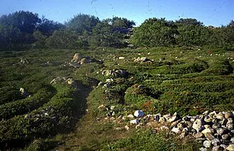 Каменные лабиринты на Большом Заяцком острове — фото 2