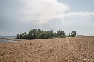 Вороний Куст (остров)