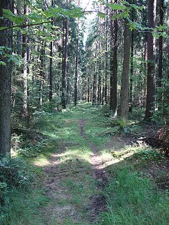 Ржевский лесопарк