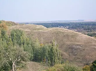 Большое Горнальское городище