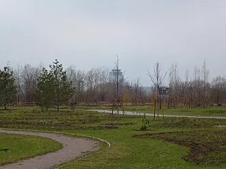 Москворецкий дендропарк