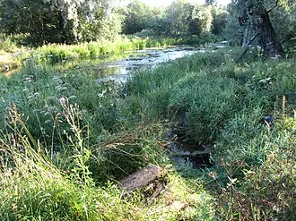 Наумахия (Гатчина) — фото 2