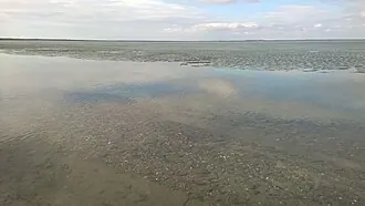 Чебакуль (озеро)