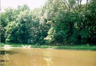 Станично-Луганский заповедник